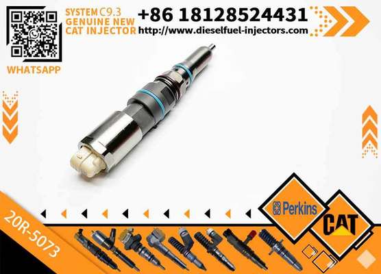 Rail Fuel Injector 20R-5036 20R-5077 20R-5079 20R-5075 20R-5073 456-3493 460-8213 456-3544